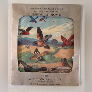 12 Vintage Pictures in Full Color by Jacob Bates Abbott